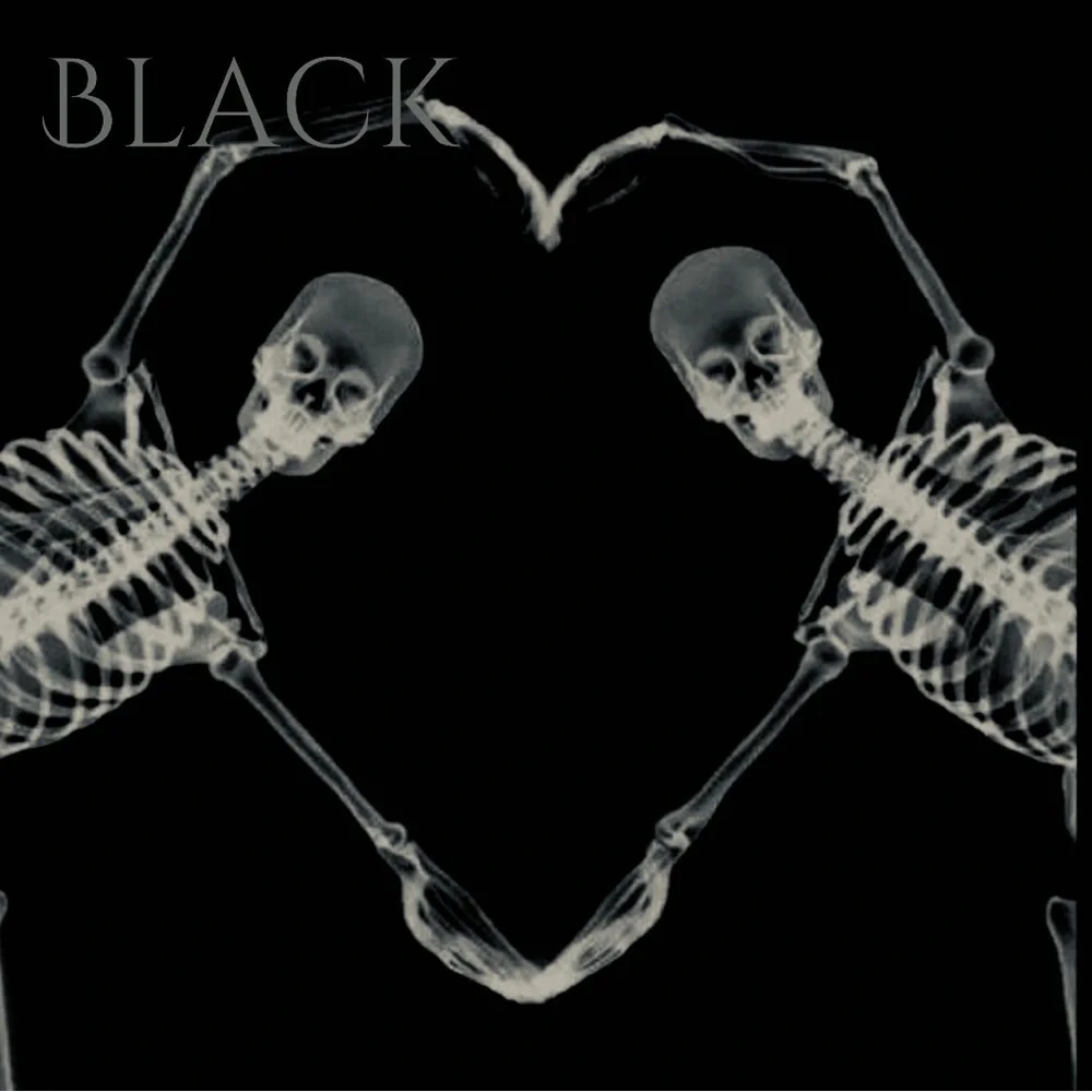 BLACK - Picture 1 of 1